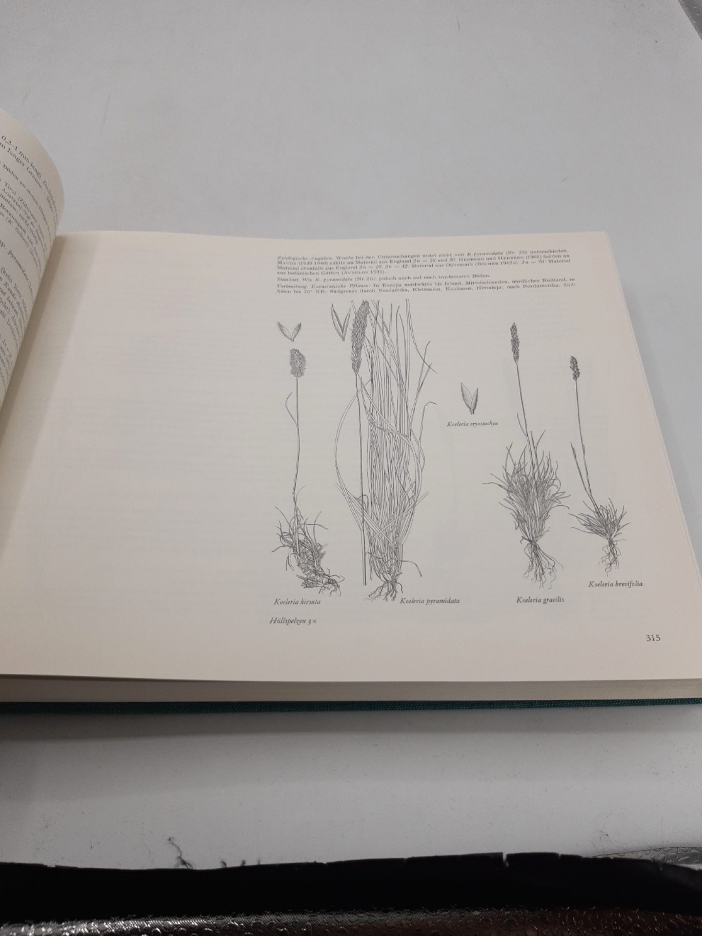 Hess, Hans Ernst (Hrsg.): Flora der Schweiz und angrenzender Gebiete. 3 Bände (=vollst.) 