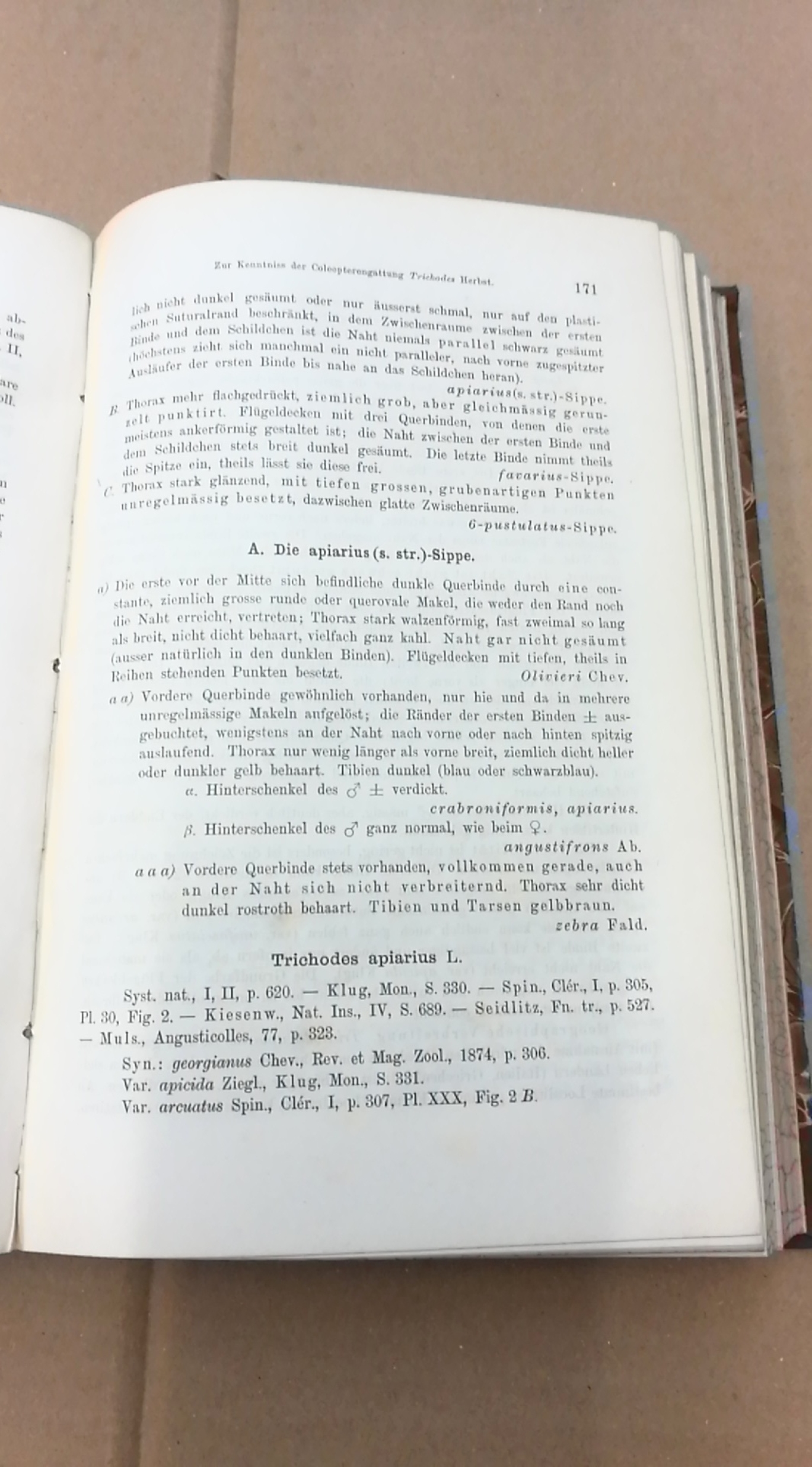 Zoologisch-Botanische Gesellschaft Wien (Hrgs.): Verhandlung der kaiserlich.königlichen zoologisch-botanischen Gesellschaft in Wien. Jahrgang 1898-1902, 43-52. Band  (= 10 Bände)