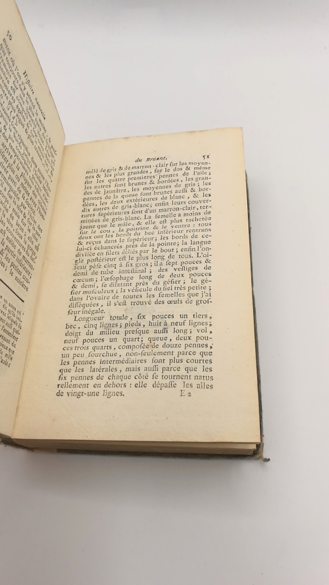 Le Comte de Buffon (Hrsg.): Historie naturelle générale et particuliere. Oiseaux, Tome VIII [8]