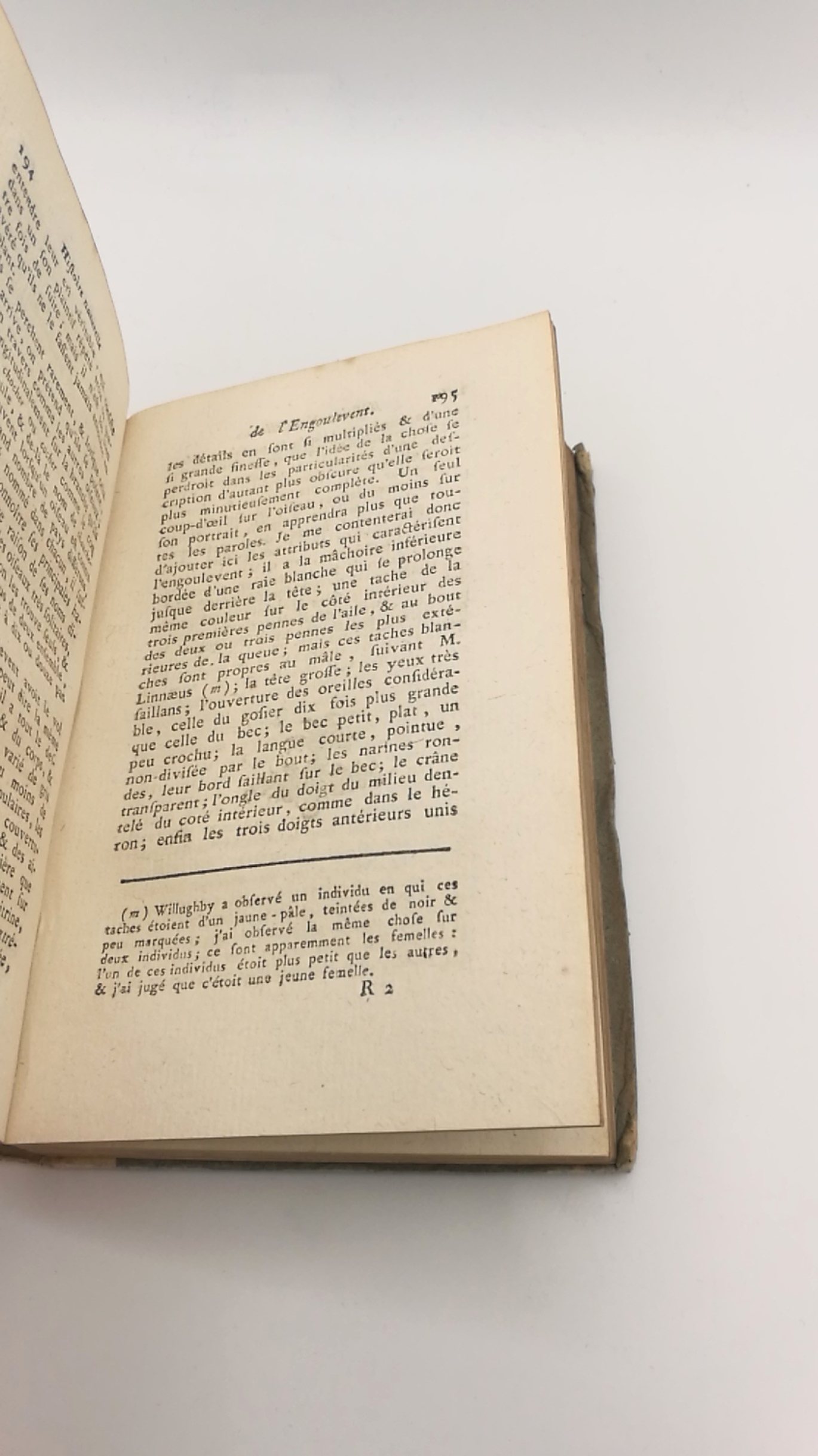 Le Comte de Buffon (Hrsg.): Historie naturelle générale et particuliere. Oiseaux, Tome XII [12]