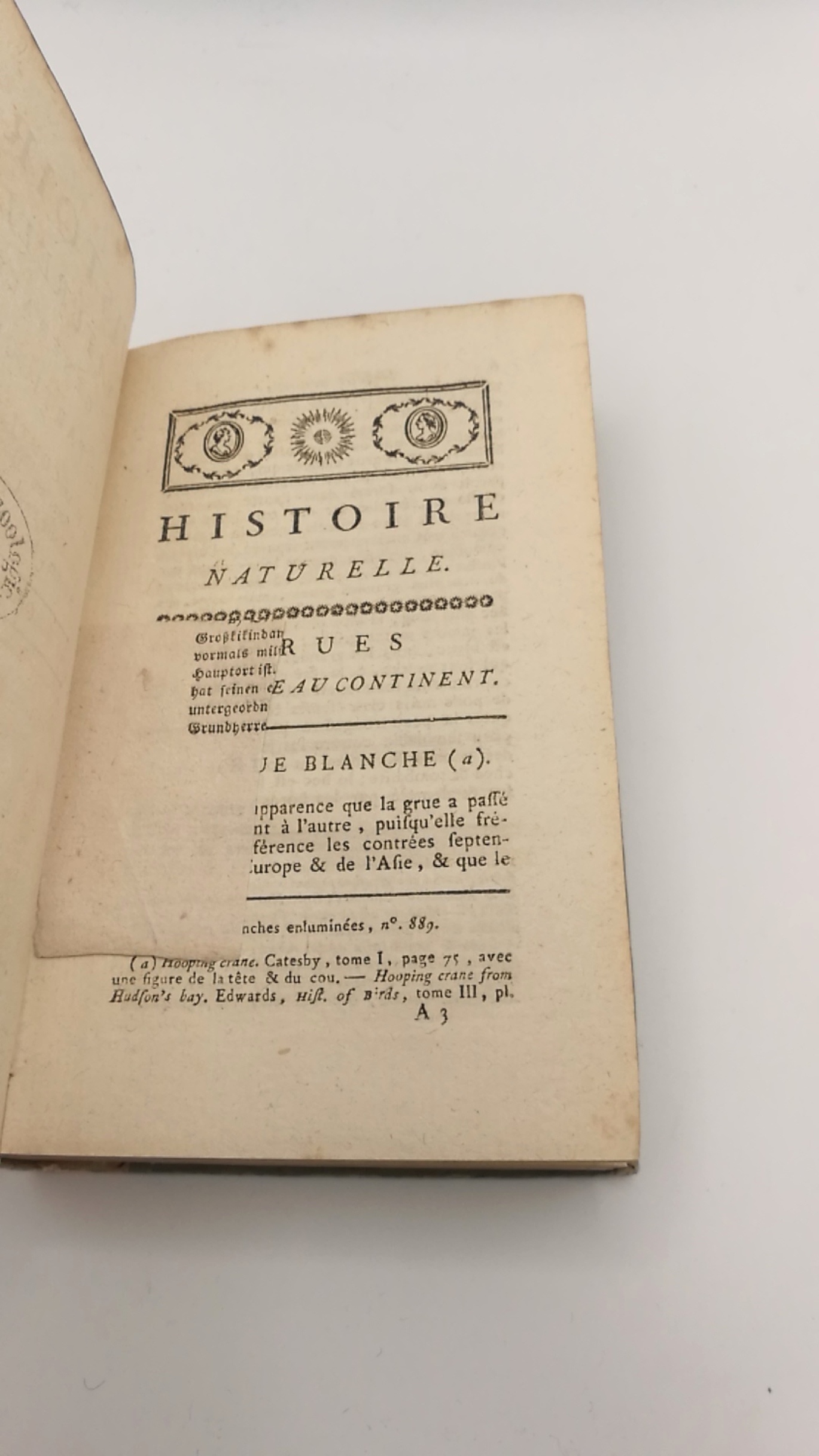 Le Comte de Buffon (Hrsg.): Historie naturelle générale et particuliere. Oiseaux, Tome XIV [13]