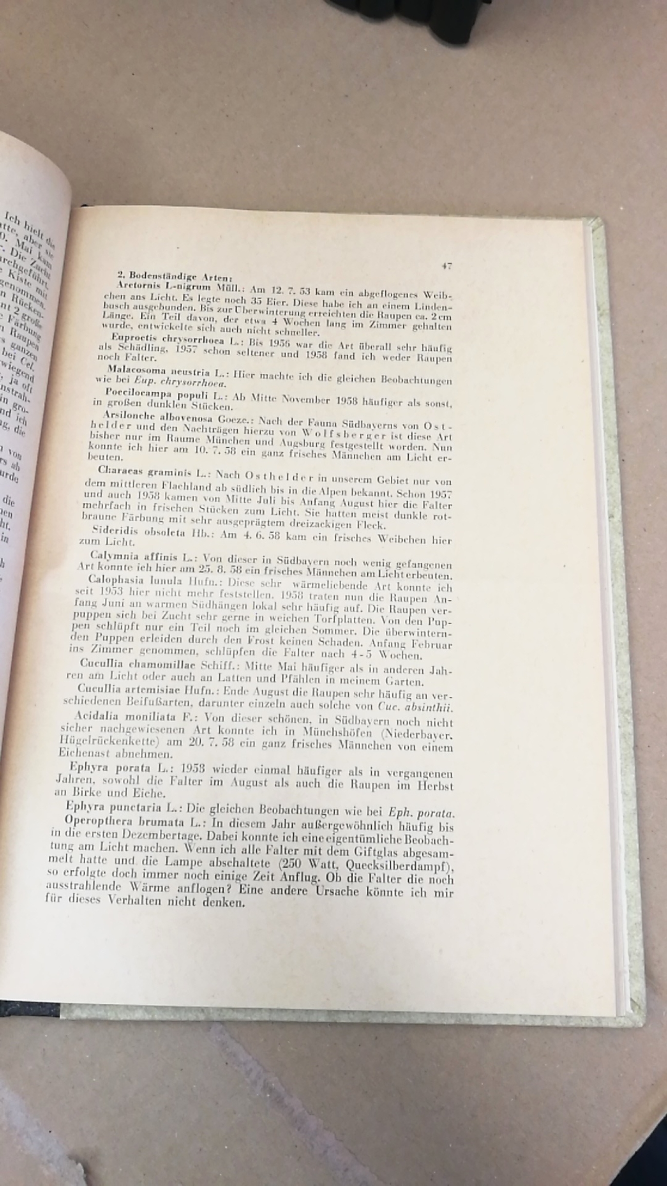 Münchner Entomologische Gesellschaft (Hrsg.): Nachrichtenblatt der Bayerischen Entomologen. 1.-13. Jahrgang 1952-1964 (=13 Jahrgänge in 13 Bände)