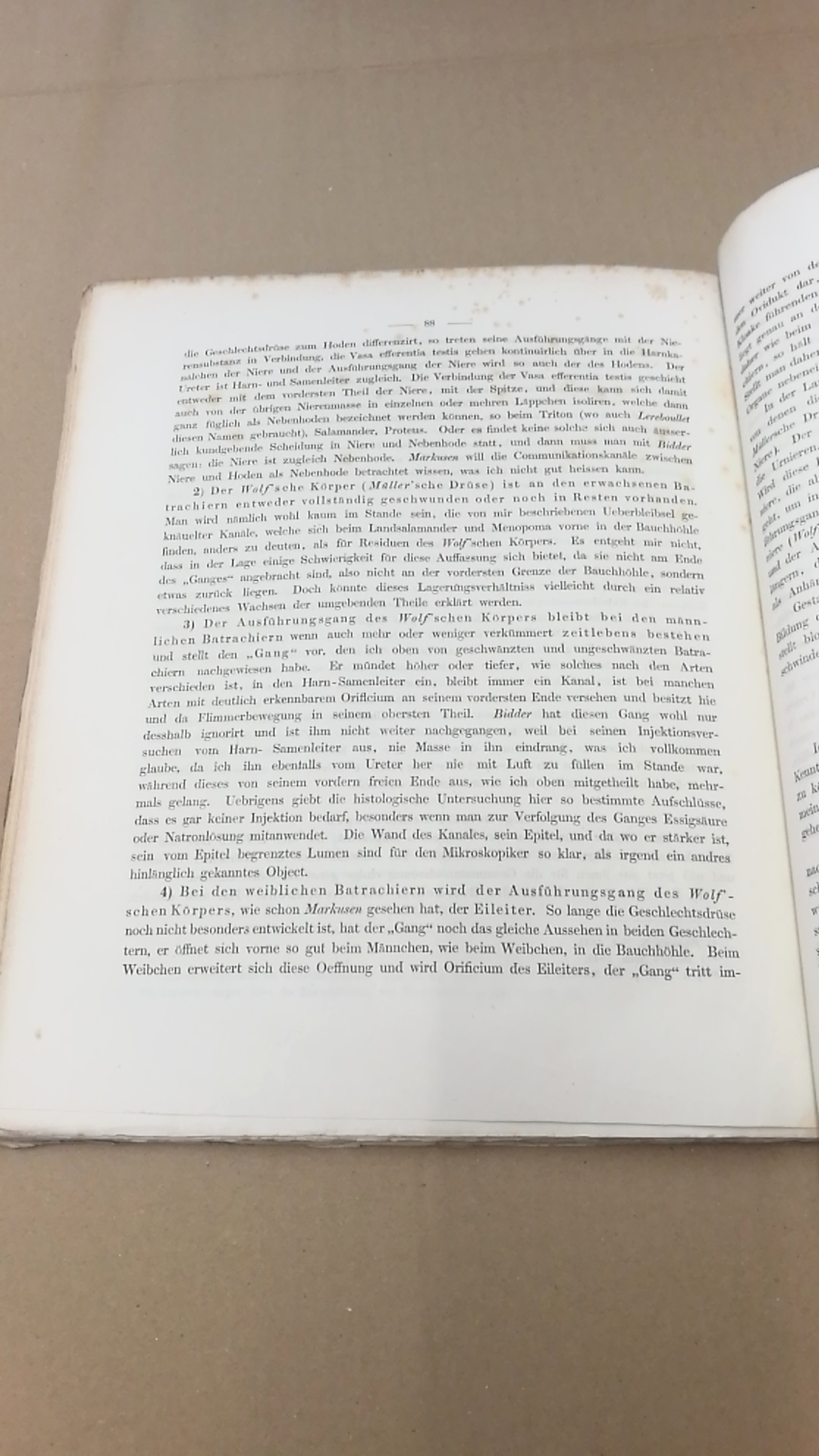 Leydig, Franz: Anatomisch-Histologische Untersuchuchungen über Fische und Reptilien