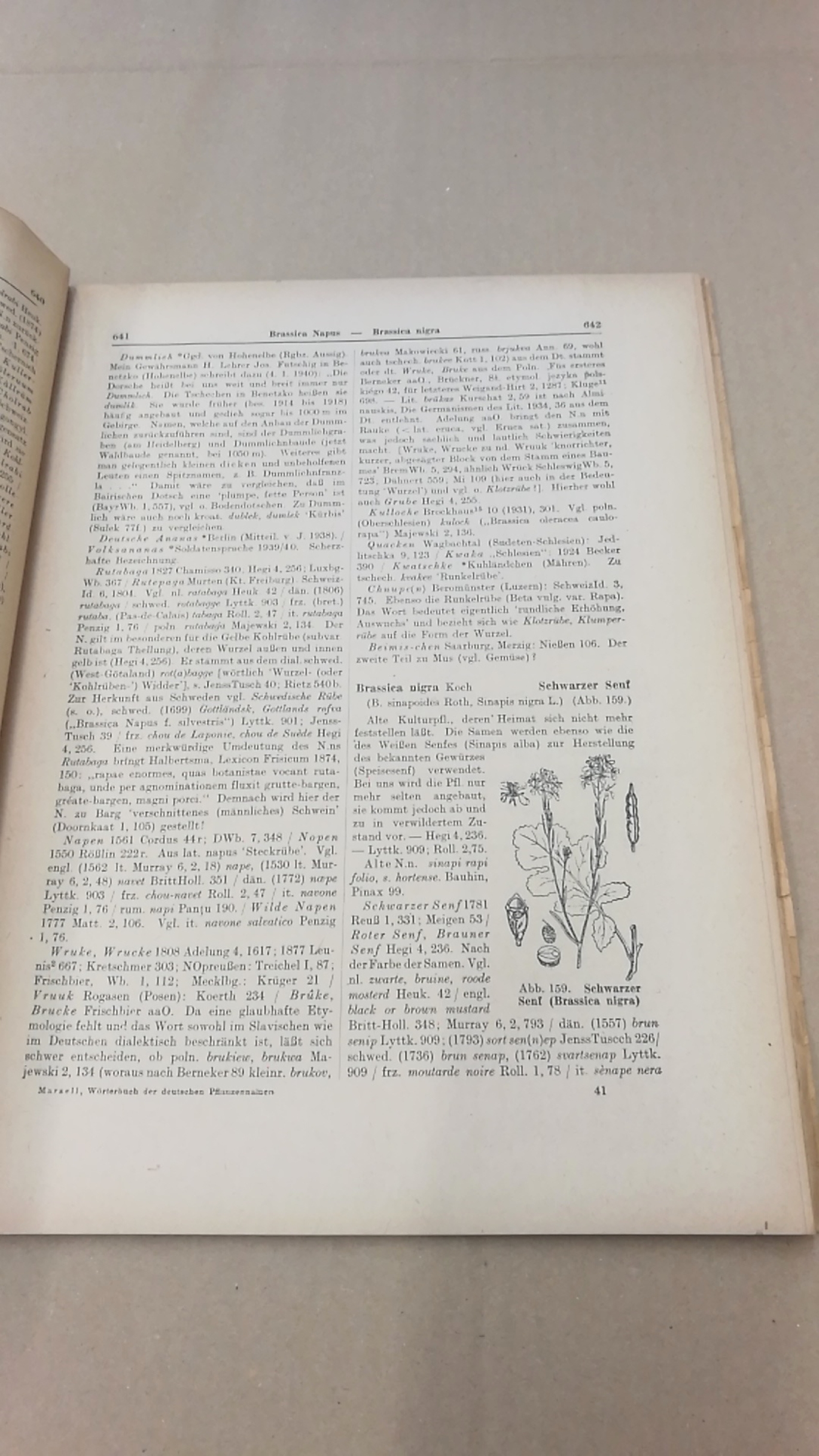 Marzell, Heinrich: Wörterbuch der Deutschen Pflanzennamen. Lieferung 5 Borago-Calycanthus