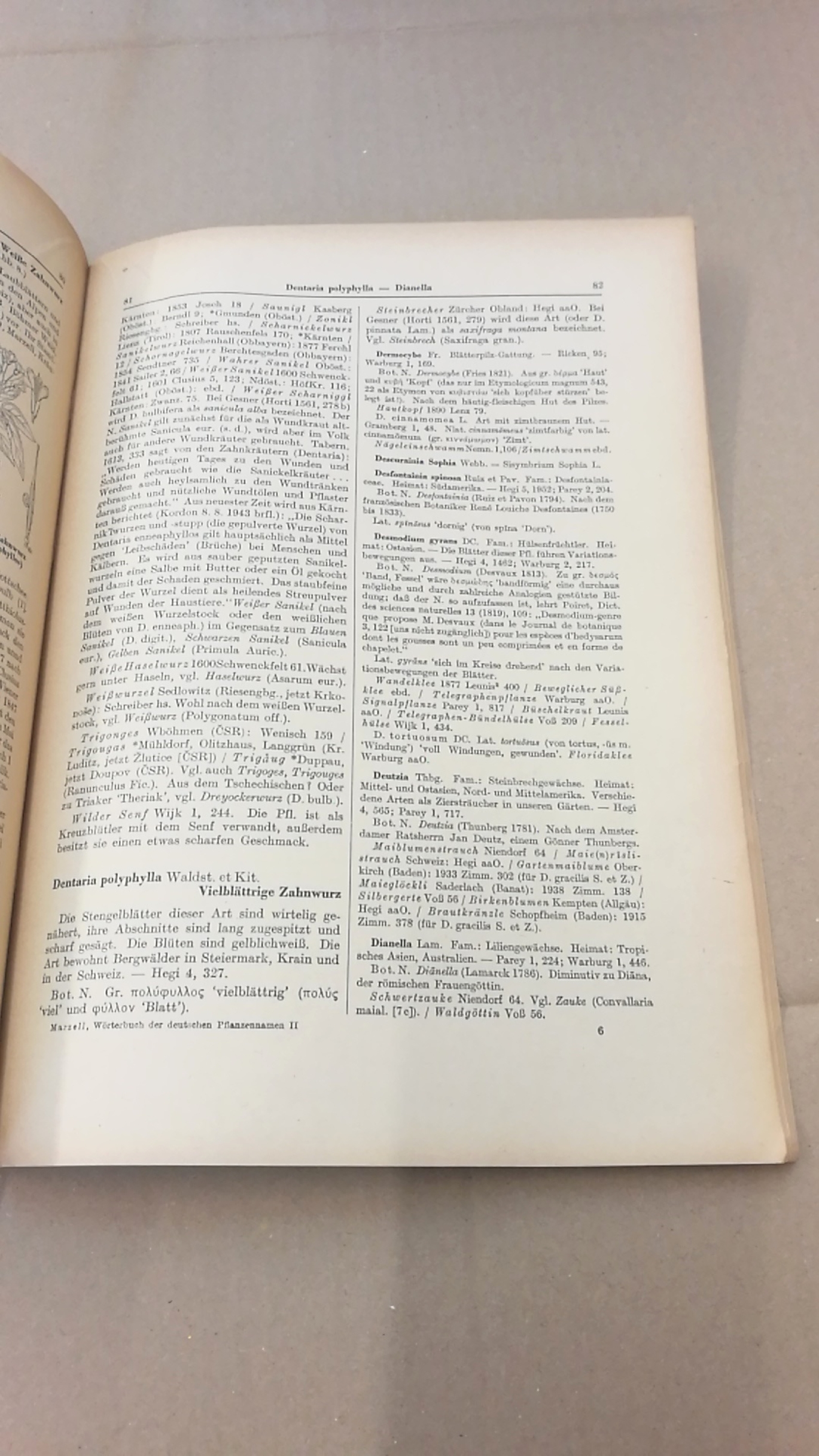 Marzell, Heinrich: Wörterbuch der Deutschen Pflanzennamen. Lieferung 10 (Band 2. Lieferung 1) Daboecia-Draba