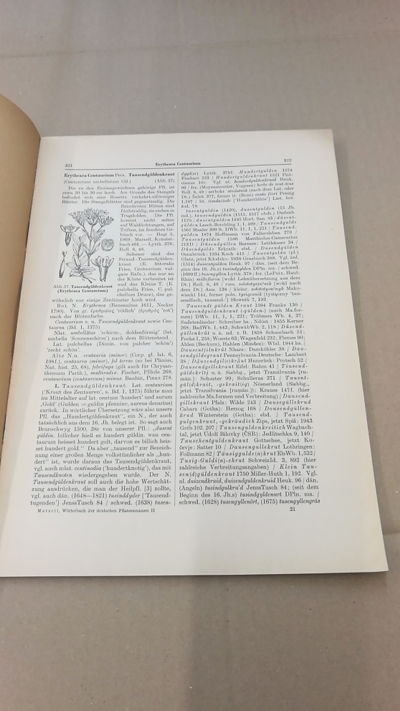 Marzell, Heinrich: Wörterbuch der Deutschen Pflanzennamen. Lieferung 12 (Band 2. Lieferung 3) Erythrae-Frangula