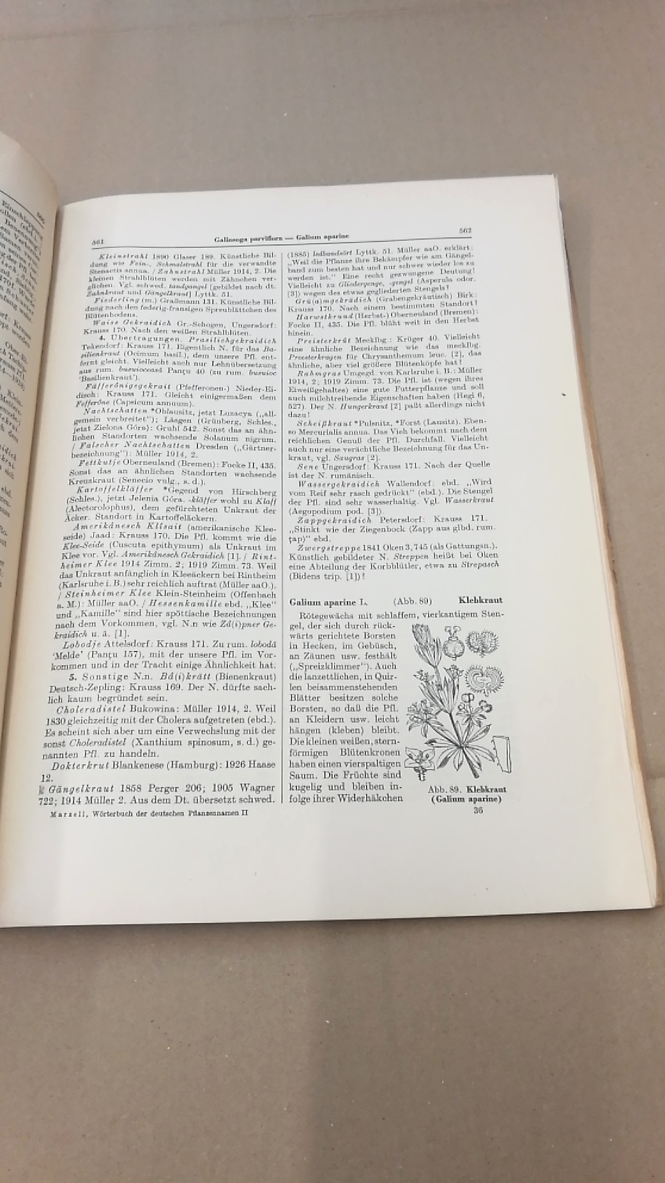 Marzell, Heinrich: Wörterbuch der Deutschen Pflanzennamen. Lieferung 13 (Band 2. Lieferung 4) Frangula-Gentiana