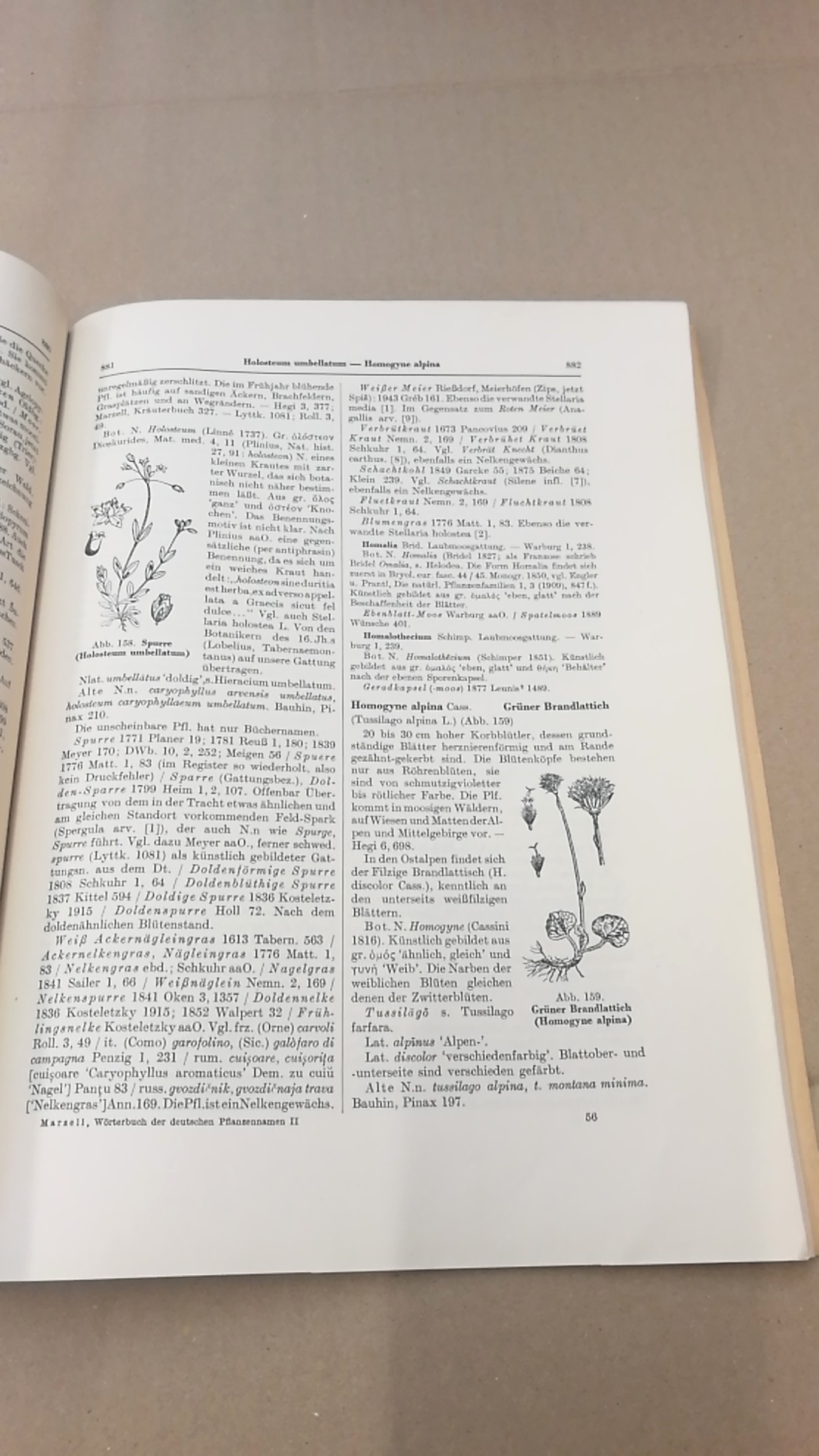 Marzell, Heinrich: Wörterbuch der Deutschen Pflanzennamen. Lieferung 15 (Band 2. Lieferung 6) Helleborus- Hypericum perforatum