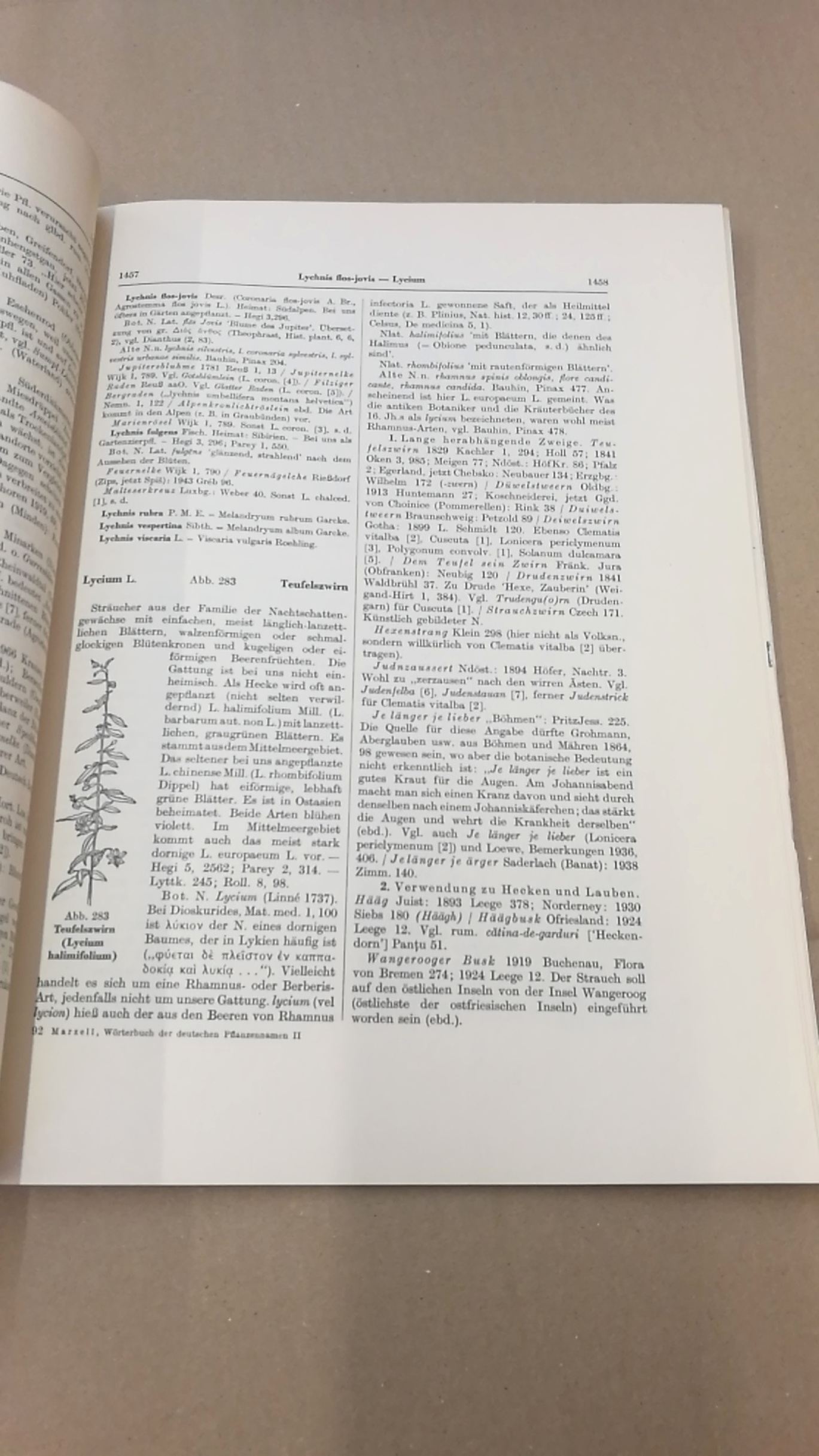 Marzell, Heinrich: Wörterbuch der Deutschen Pflanzennamen. Lieferung 19 (Band 2. Lieferung 10) Lychnis-Lythrum