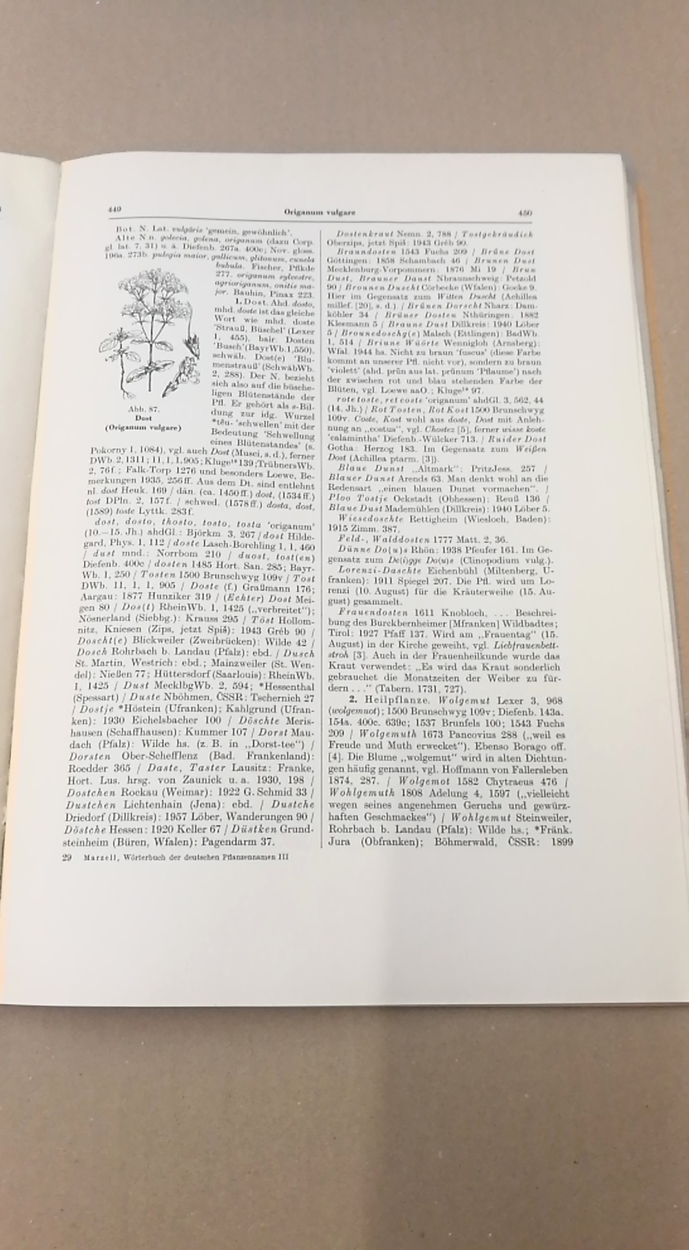 Marzell, Heinrich: Wörterbuch der Deutschen Pflanzennamen. Lieferung 22 (Band 3. Lieferung 3) Nigella-Oxalis