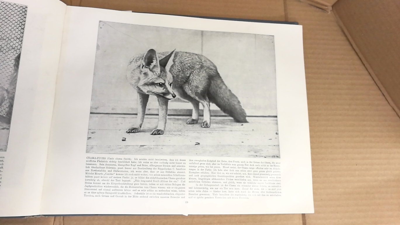 Heck, Lutz: Lebende Bilder aus dem Reiche der Tiere. Augenblicksaufnahmen nach dem lebenden Tierbestande des Berliner zoologischen Gartens.