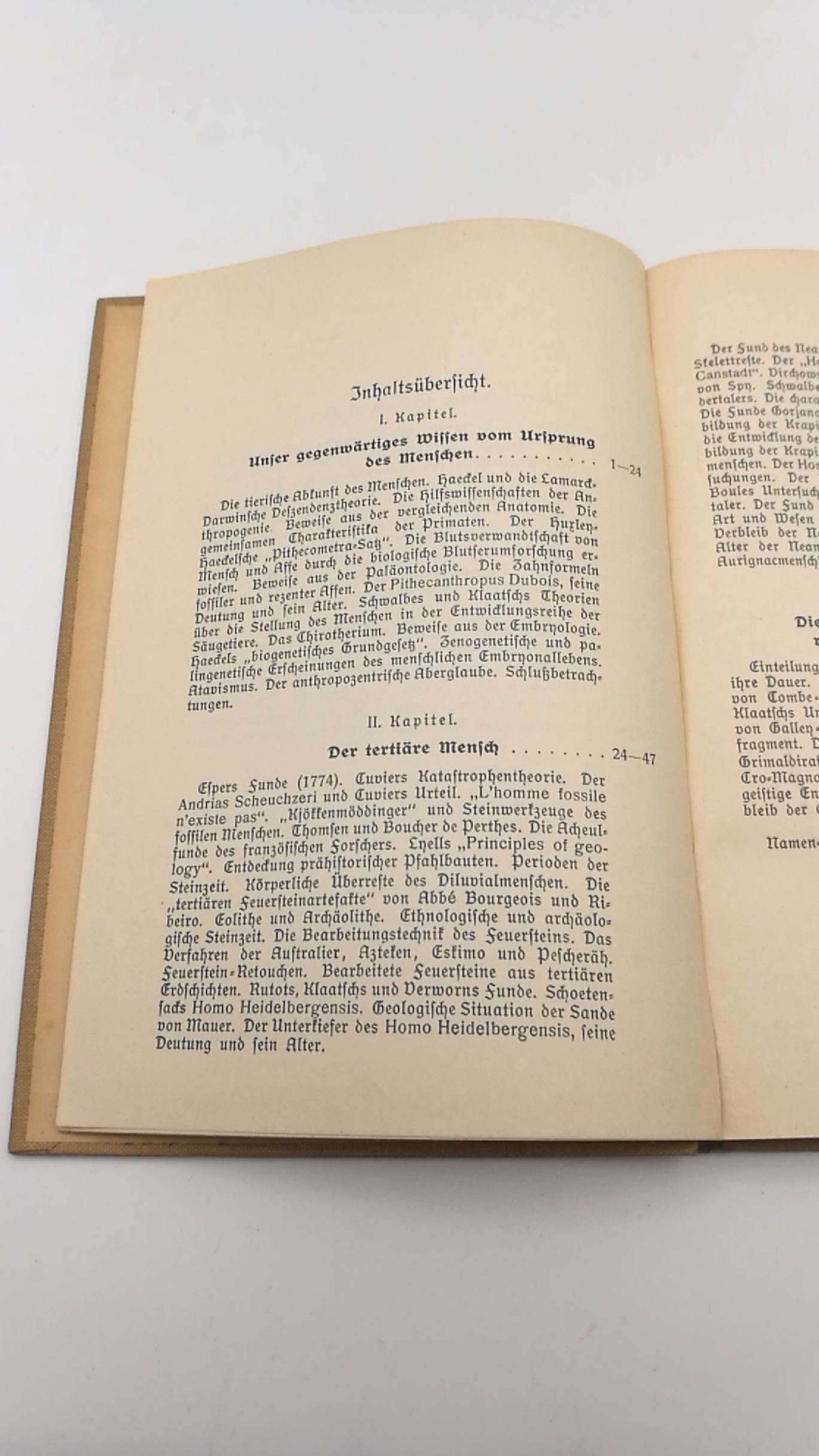 Heilbon, Adolf: Der Mensch in der Urzeit 