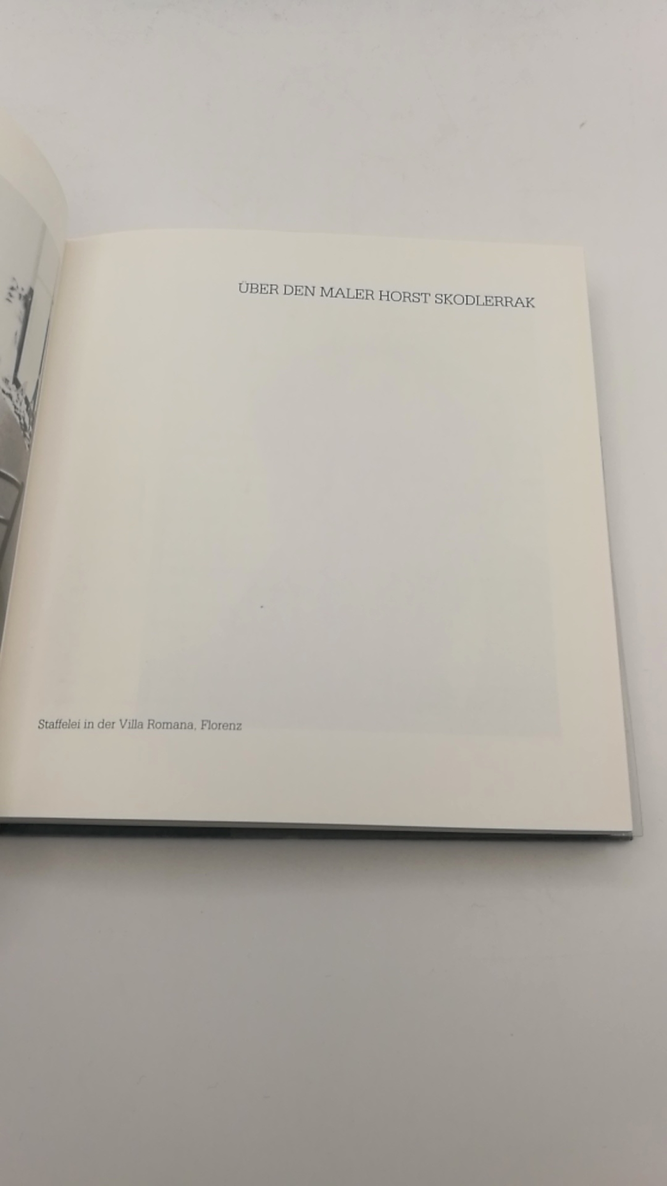 Verein der Freunde des Museums für Kunst und Kulturgeschichte (Hrgs.), : Über den Maler Horst Skodlerrak. 