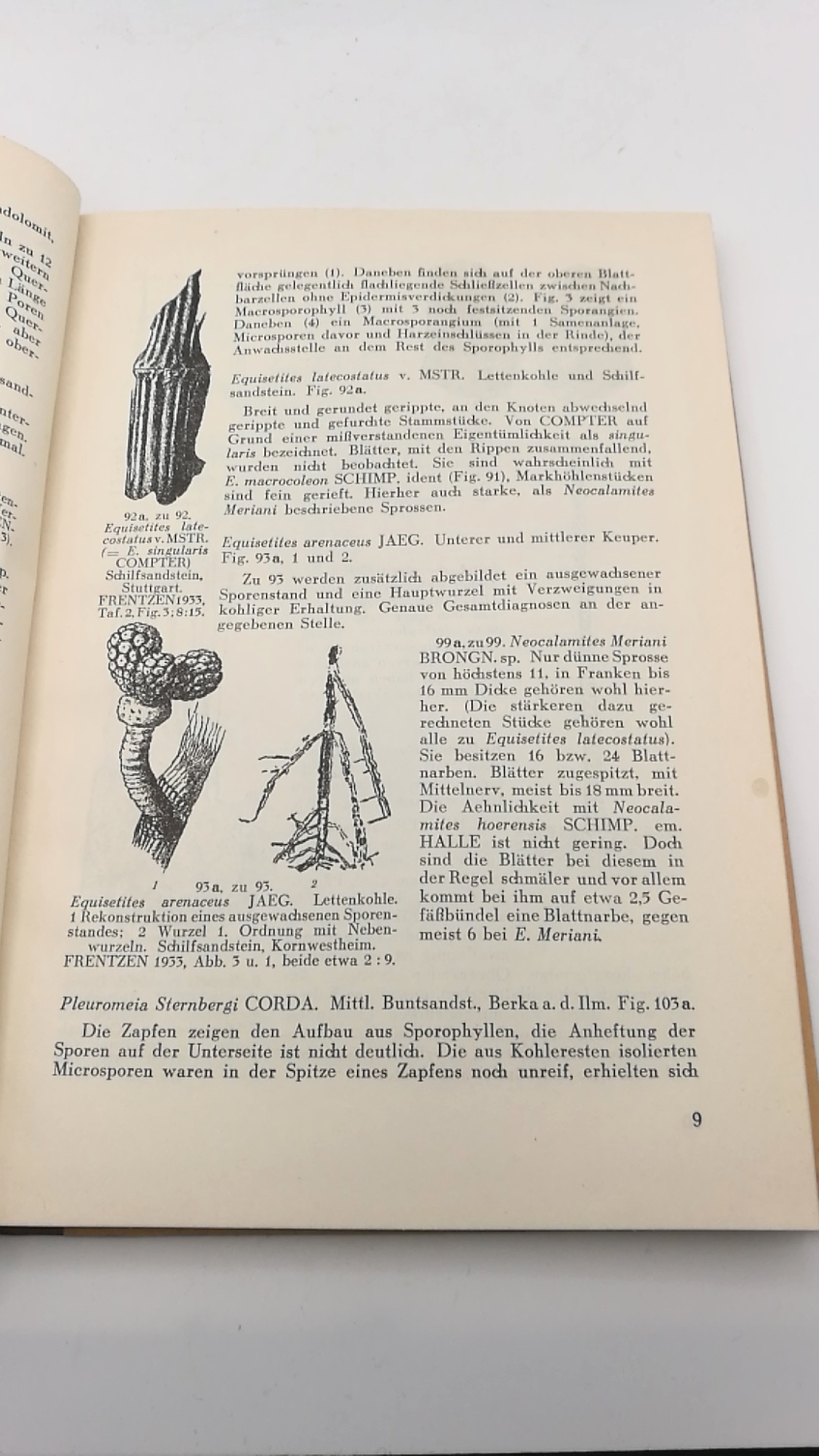 Schmidt, Martin: Die Lebewelt unserer Trias. Nachtrag 1938