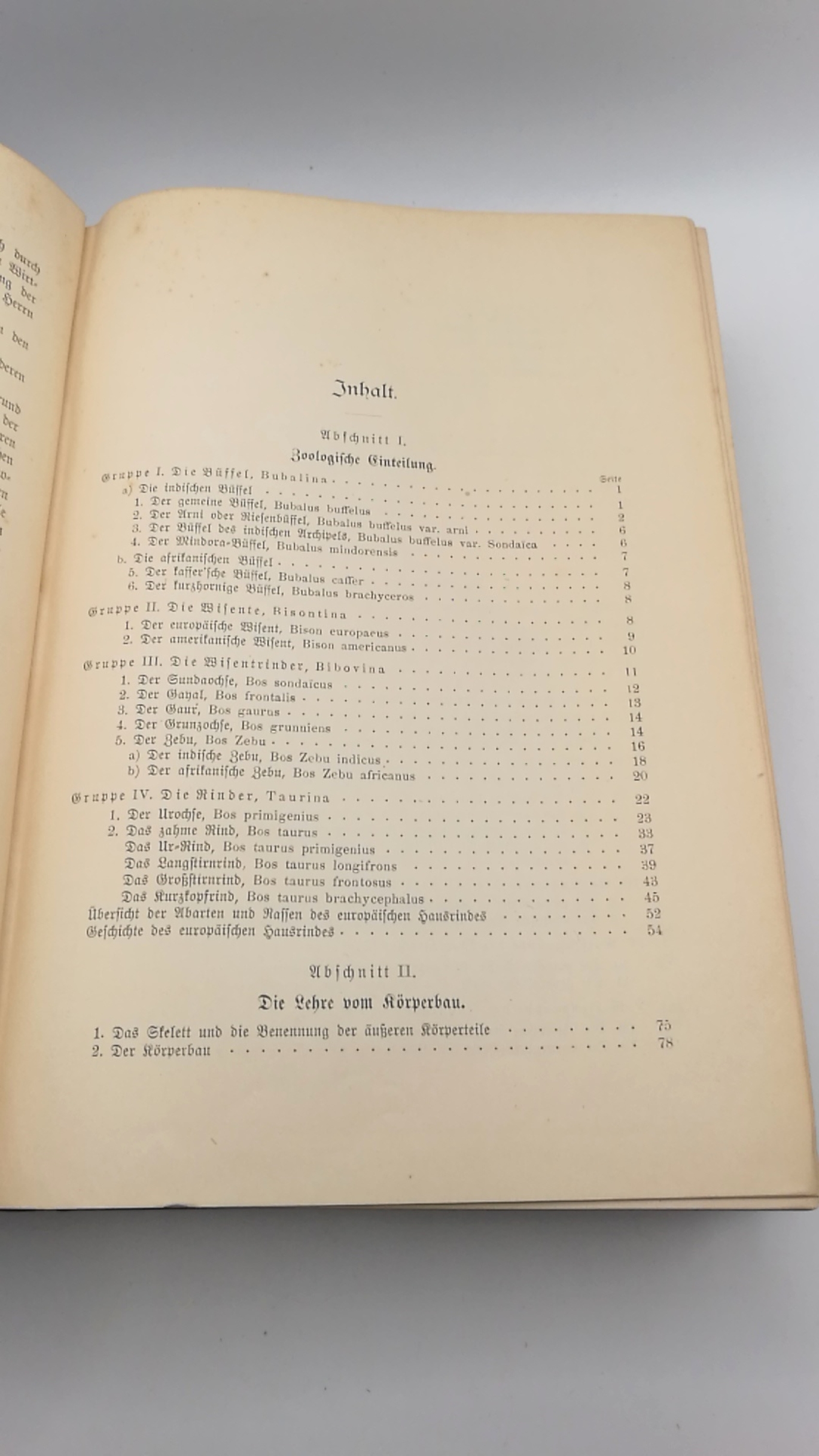 Werner, Hugo: Die Rinderzucht. Körperbau, Schläge, Züchtung, Haltung und Nutzung des Rindes. Praktisches Handbuch.