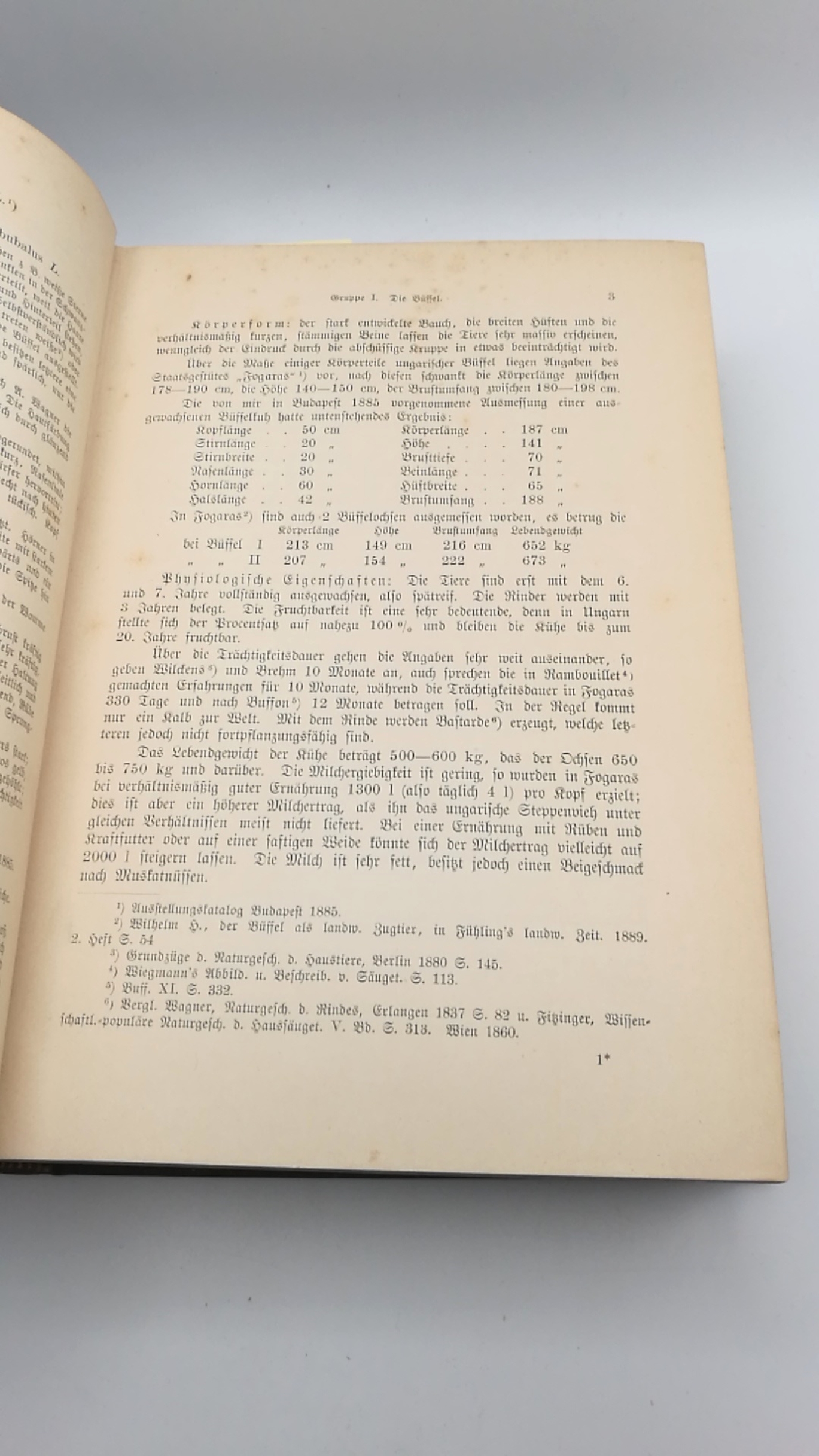 Werner, Hugo: Die Rinderzucht. Körperbau, Schläge, Züchtung, Haltung und Nutzung des Rindes. Praktisches Handbuch.