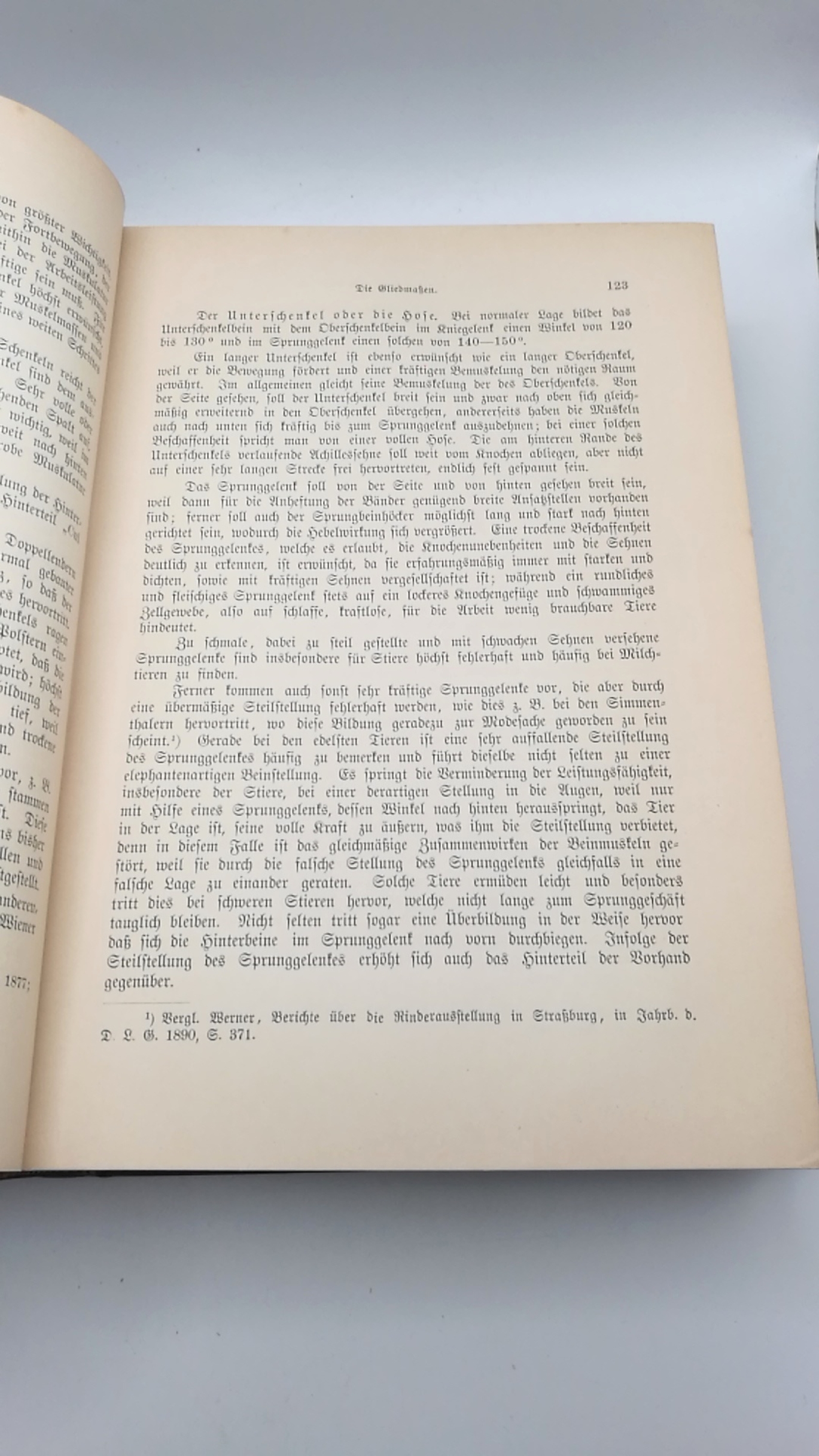 Werner, Hugo: Die Rinderzucht. Körperbau, Schläge, Züchtung, Haltung und Nutzung des Rindes. Praktisches Handbuch.