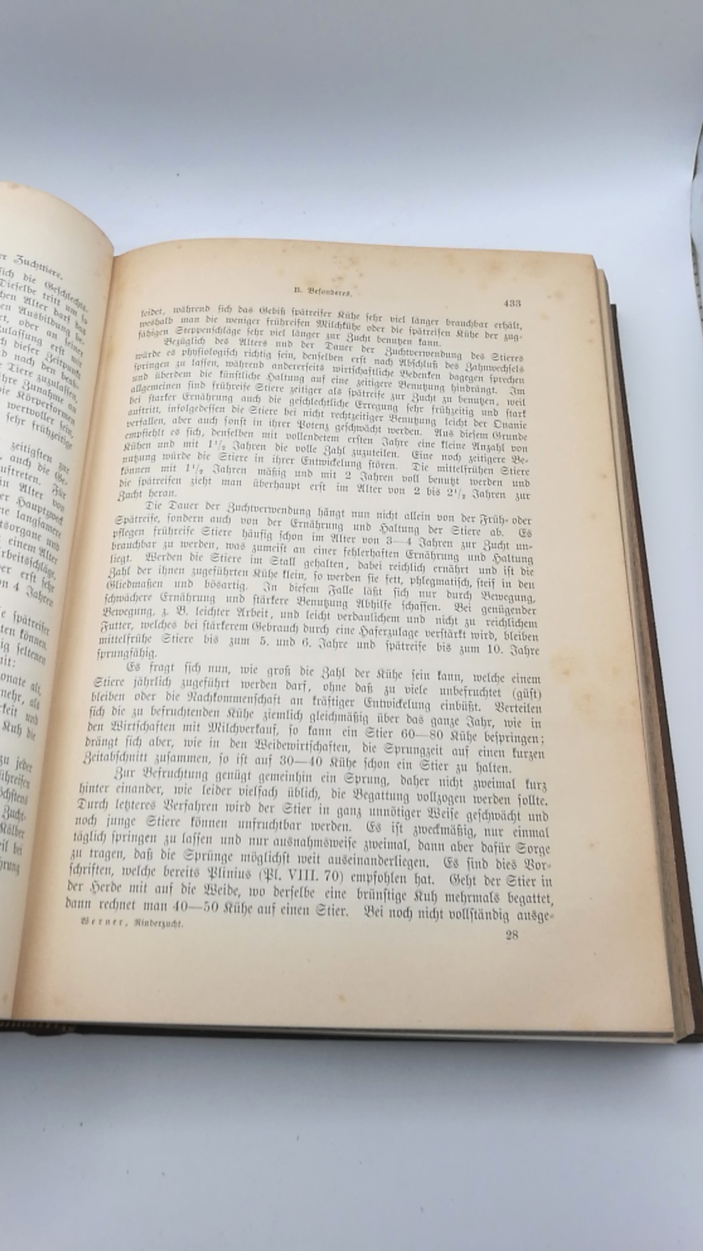 Werner, Hugo: Die Rinderzucht. Körperbau, Schläge, Züchtung, Haltung und Nutzung des Rindes. Praktisches Handbuch.