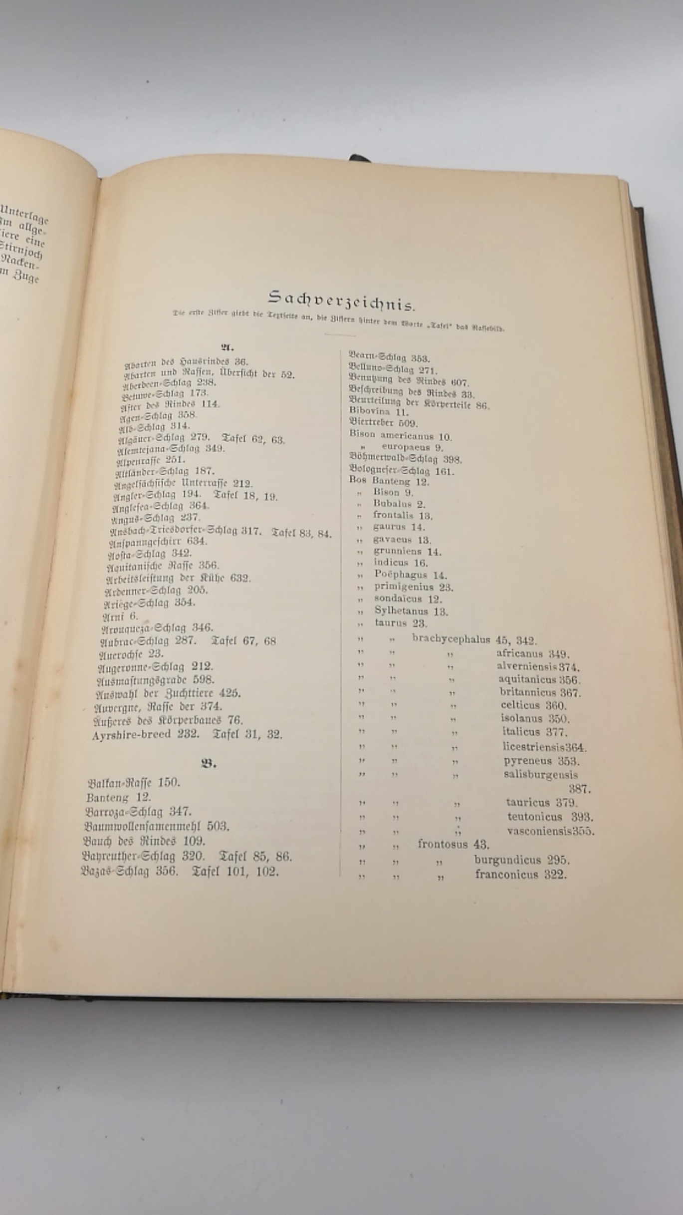 Werner, Hugo: Die Rinderzucht. Körperbau, Schläge, Züchtung, Haltung und Nutzung des Rindes. Praktisches Handbuch.