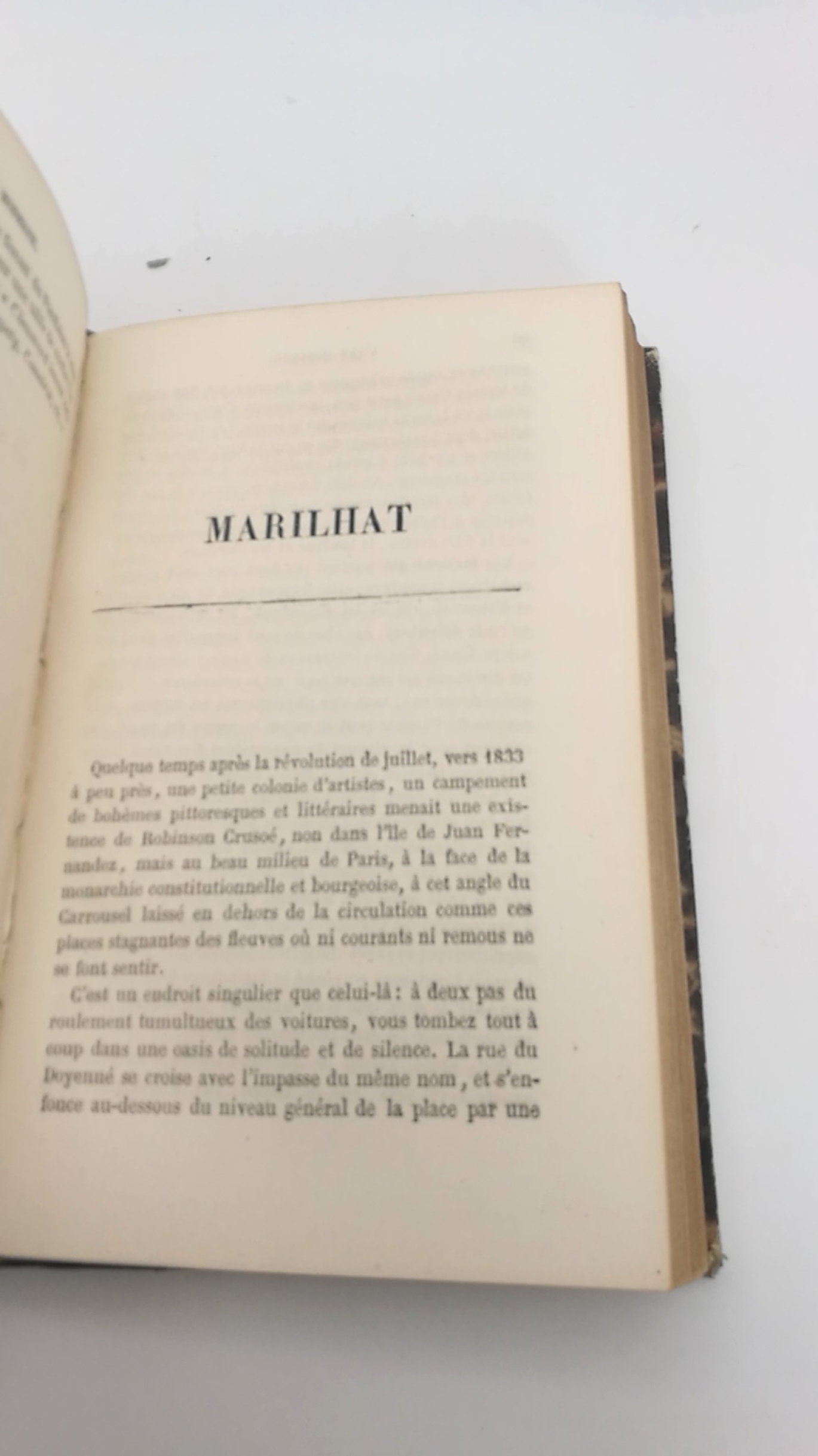 Gautier, Théophile: Les Grotesques. / L'art moder (=2 Bände in 1 Band) 