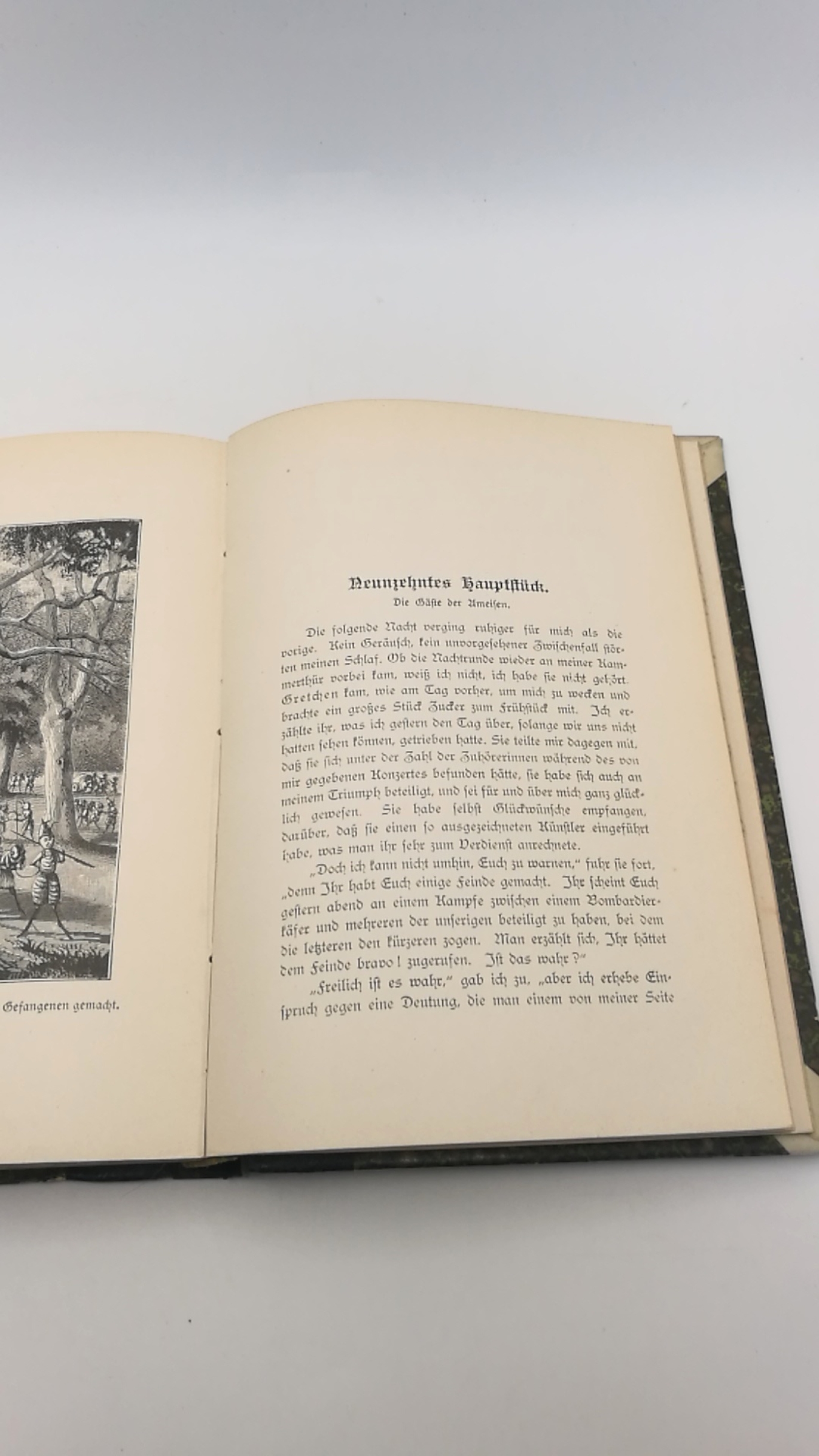 Candéze, Ernest: Herr Grillens Thaten und Fahrten zu Wasser und zu Land.