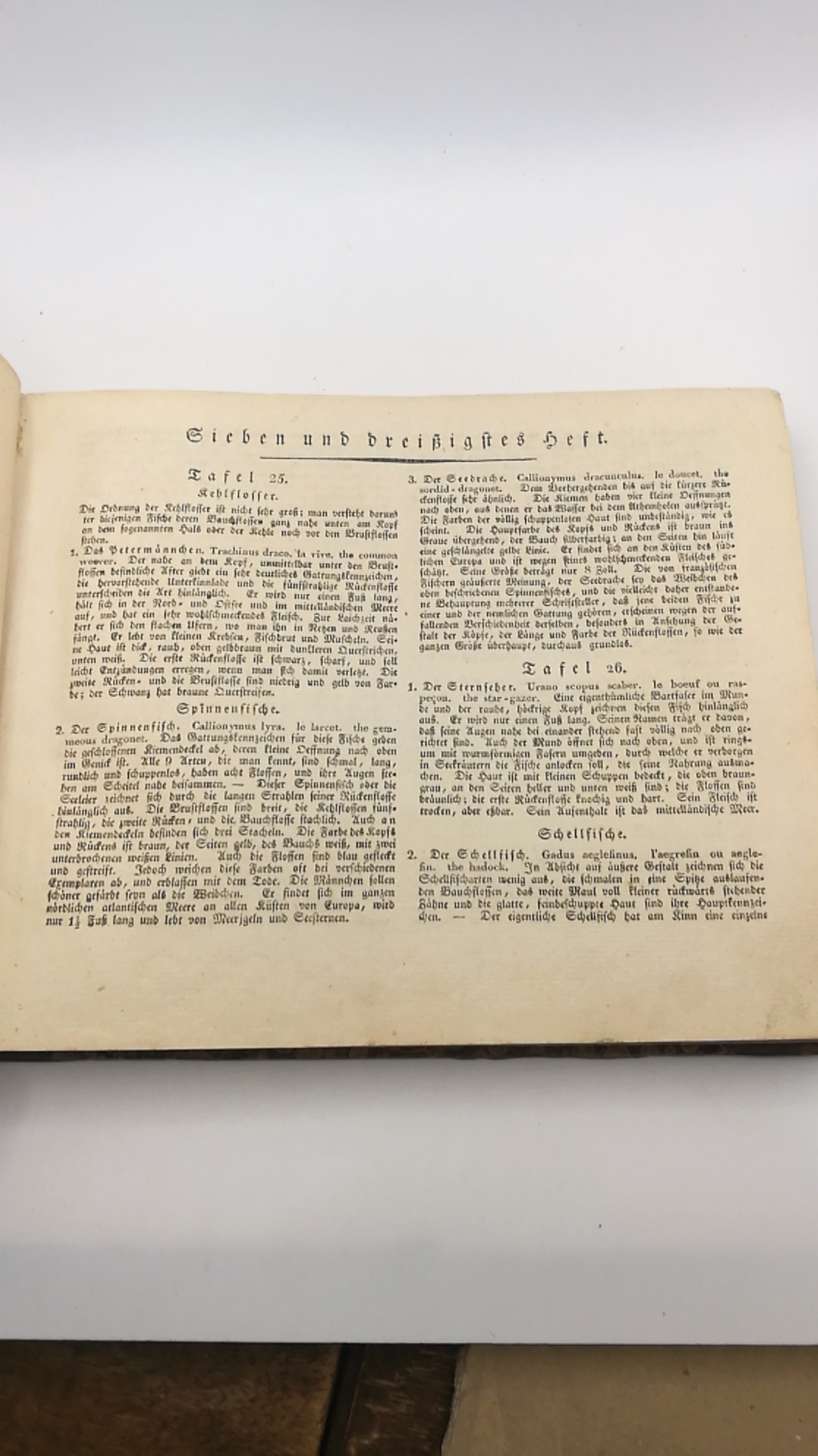 Strack, (Christian Friedrich Leberecht): Naturgeschichte in Bildern mit erläuterndem Text. Säugethiere (77von 84), Vögel (72, kpl.), Amphibien und Lurche (36, kplt.), Fische (81 v 143).