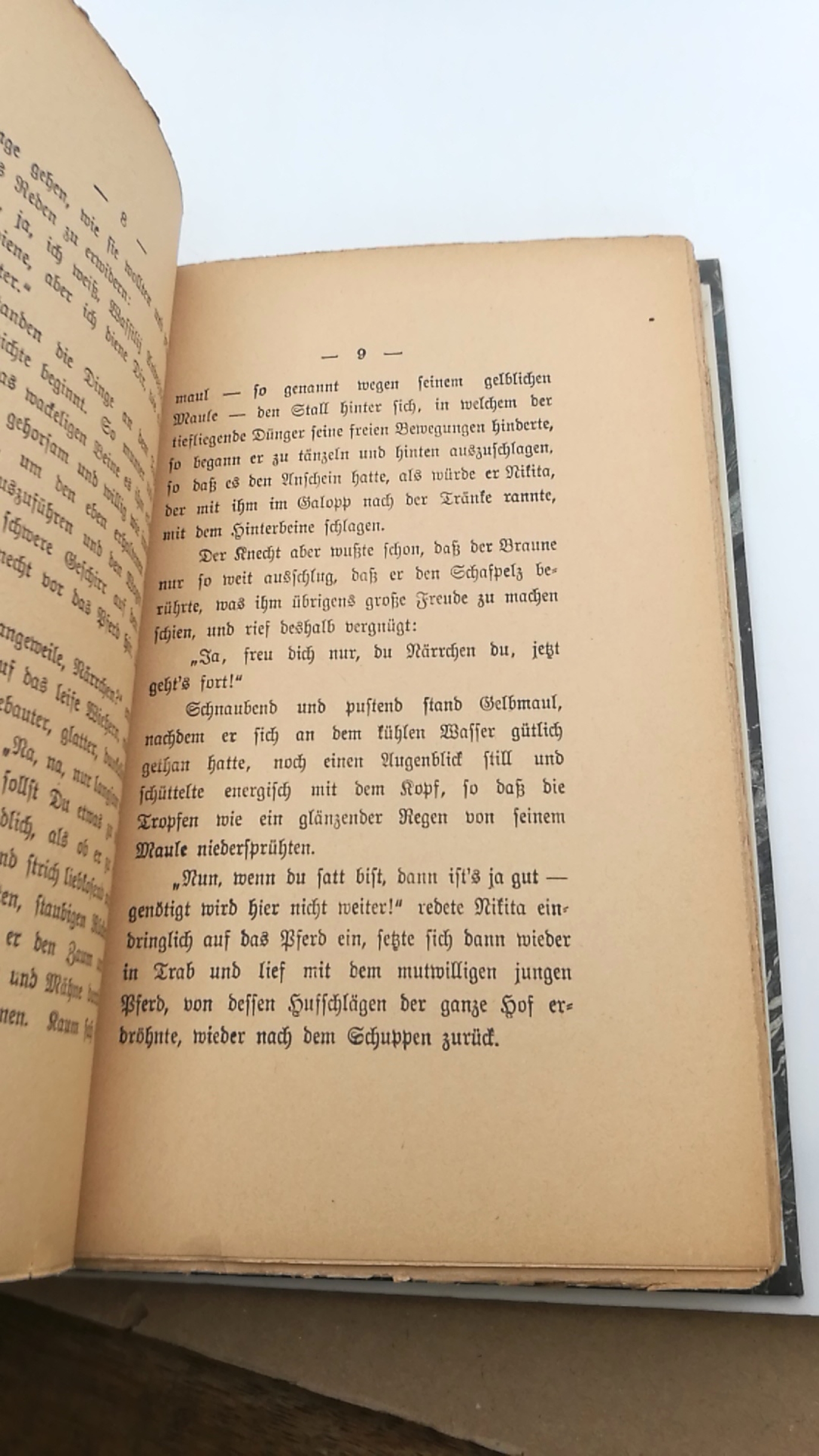 Tolstoi, Graf Leo: Herr und Knecht / Ilaß Erzählung