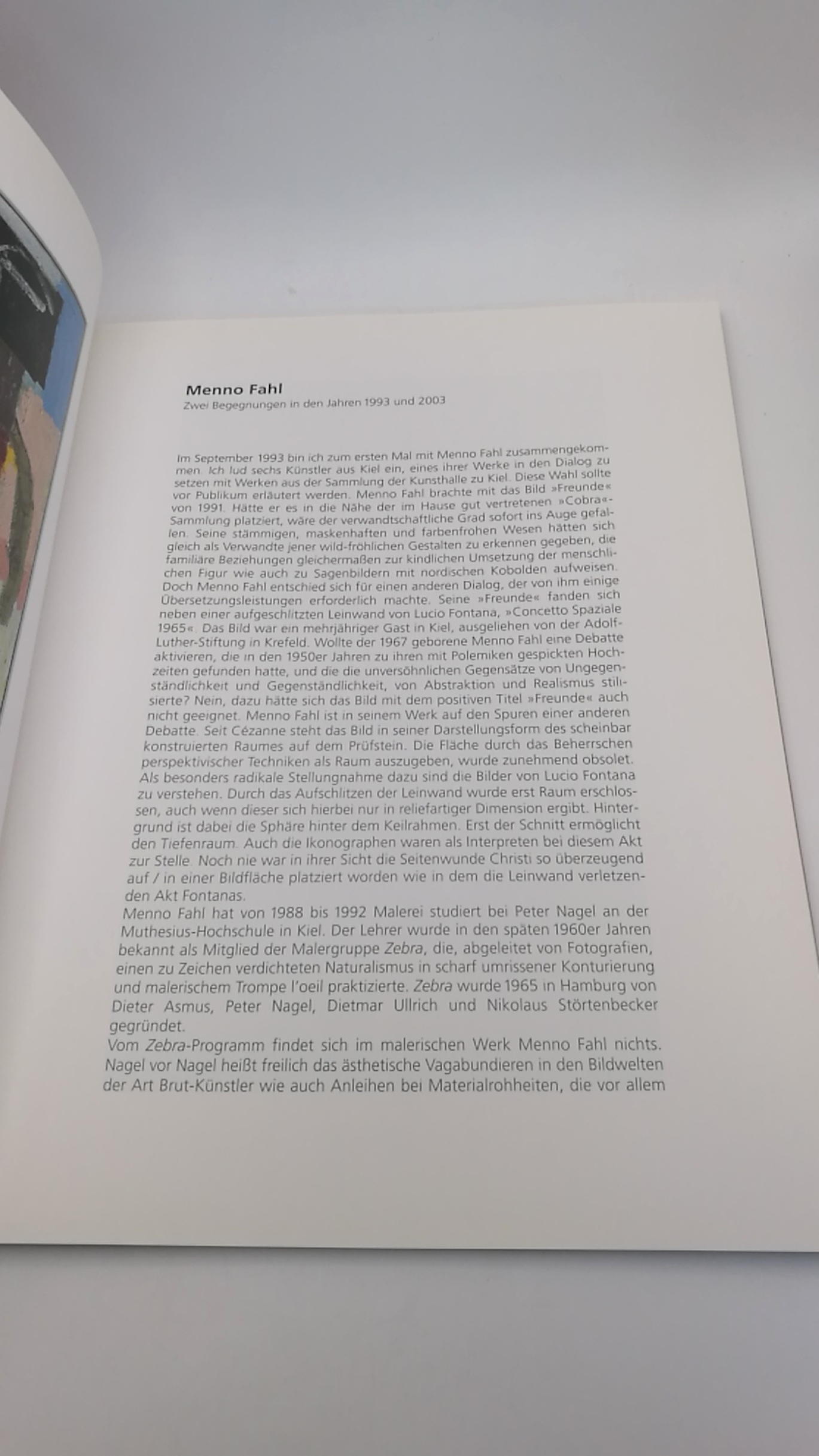 Braun, Günter und Waldtraut (Hrsg.): Menno Fahl Zwischen Malerei und Skulptur. Mit einer Einführung von Hans-Werner Schmidt