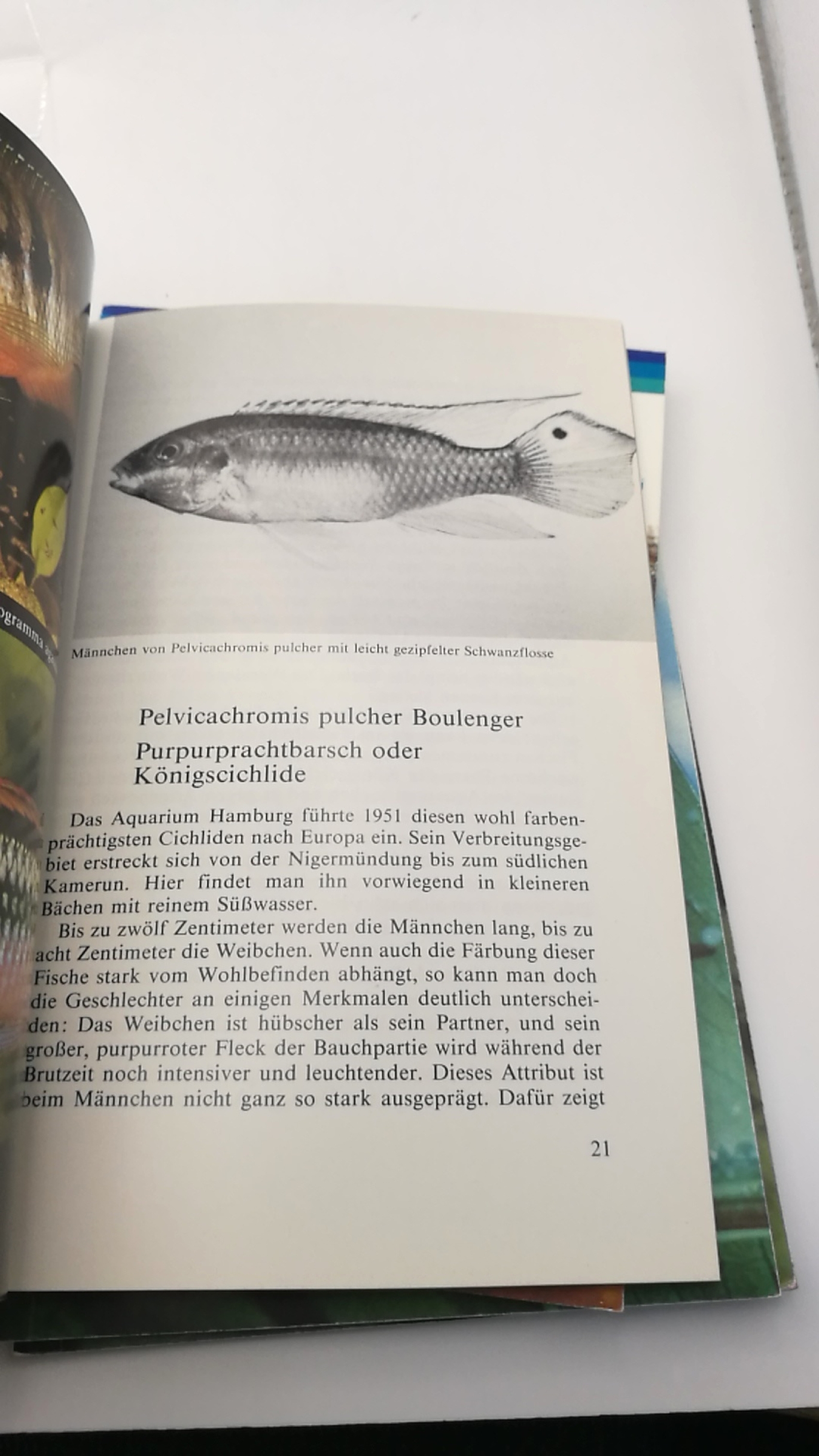 Nachstedt / Tusche, J. / H.: Züchterkniffe I bis VI (=6 Hefte) Praktische Winken zur Pflege und Zucht beliebter Zierfische