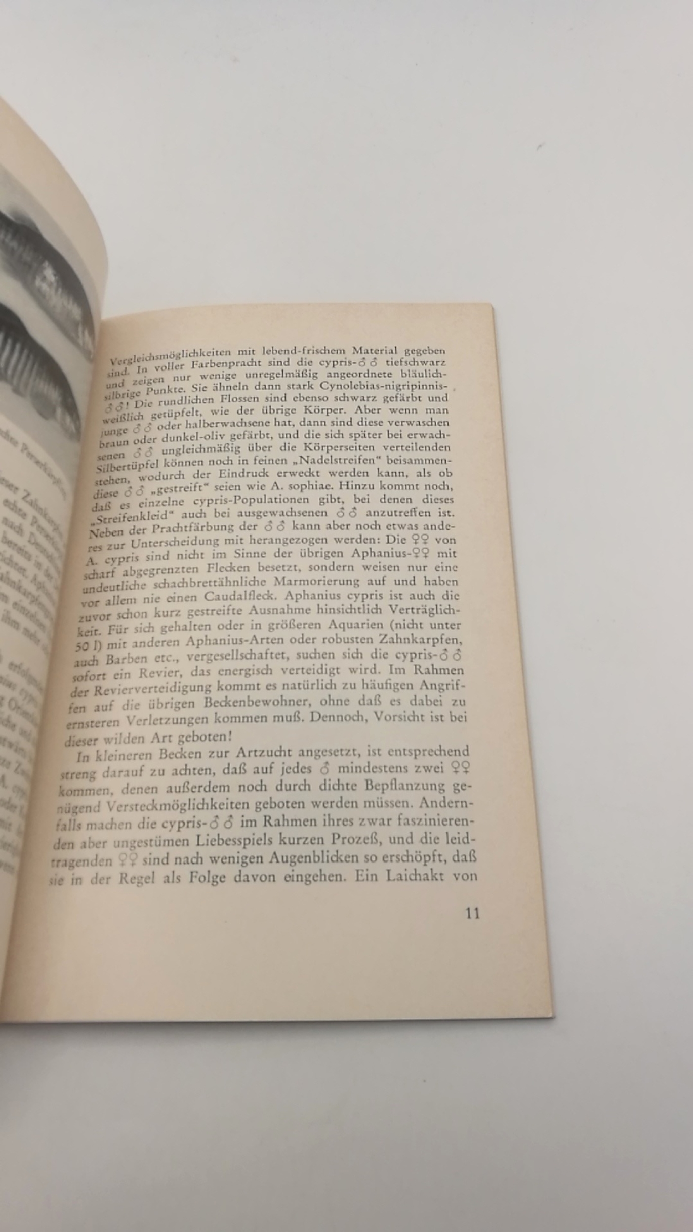 Villwock, Wolfgang: Eierlegende Zahnkarpfen Beliebte Aquarienfische und solche, die es werden sollten. Kleine DATZ-Bücher, Nr. 10;