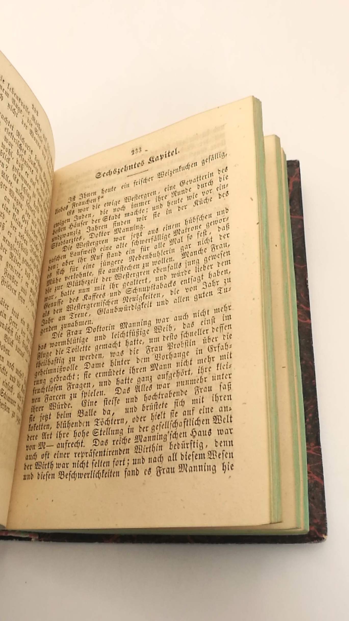 Flygare-Carlén, Emilie: Das Fideicommiß. 9 Teile in 2 Bänden in 1 Buch (=vollst.) Das belletristische Ausland, herausgegeben von Carl Spindler. Kabinettsbibliothek der classischen Romane aller Nationen. 136. bis 144. Band