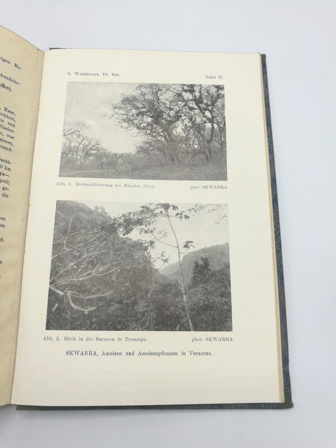 Emden, Fritz van: 4. Wanderversammlung Deutscher Entomologen in Kiel (11.-15. VI. 1930). 