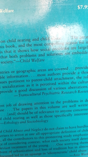 Korbin, Jill E.: Child Abuse and Neglect Cross Cultural Perspectives