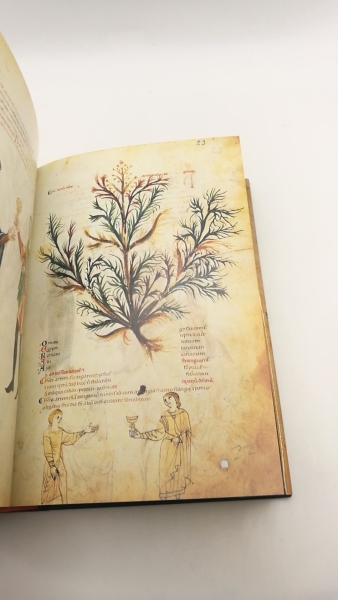 Zotter, Hans: Medicina antiqua Codex Vindobonensis 93 der Österreichischen Nationalbibliothek