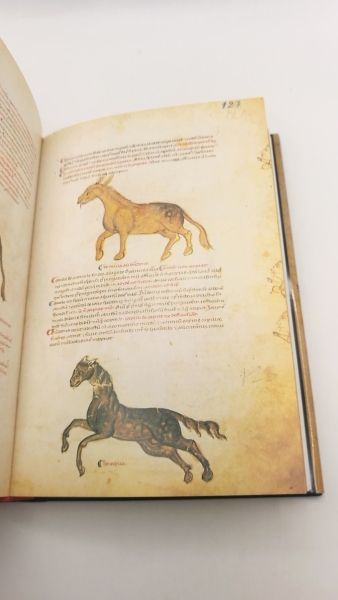 Zotter, Hans: Medicina antiqua Codex Vindobonensis 93 der Österreichischen Nationalbibliothek