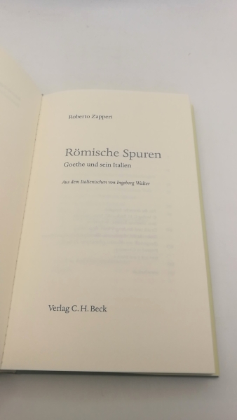 Zapperi, Roberto: Römische Spuren Goethe und sein Italien