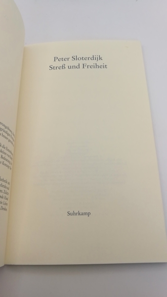 Sloterdijk, Peter: Streß und Freiheit 