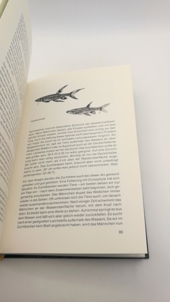 Richter, Hans-Joachim: Fische züchten, ein Problem? 