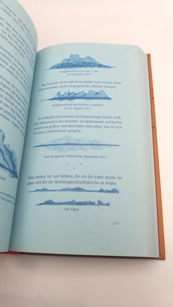 Gundlach, Angelika (Herausgeber): August Strindberg. Das blaue Buch Übergeben an die Zuständigen und zugleich ein Kommentar zu "Schwarze Fahnen"