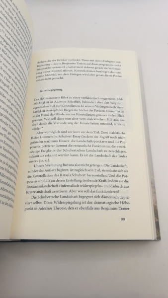 Mittelmeier, Martin: Adorno in Neapel Wie sich eine Sehnsuchtslandschaft in Philosophie verwandelt