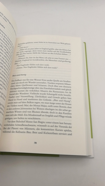 Rumiz, Paolo (Verfasser): Via Appia Auf der Suche nach einer verlorenen Straße / Paolo Rumiz; aus dem Italienischen von Karin Fleischanderl