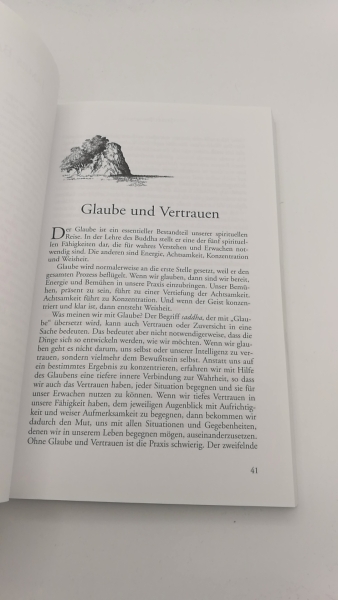 Fronsdal, Gil: Buddhismus für den Westen 