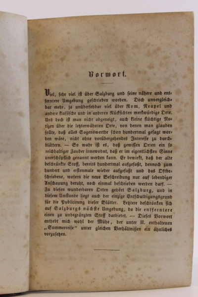 Badenfeld, Eduard Freiherr von (Eduard Silesius): Reisenebelbilder (travelling - dissolving - views) aus alten besseren Tagen des Friedens und der Lebenslust. Eriinerungsblätter für Freunde