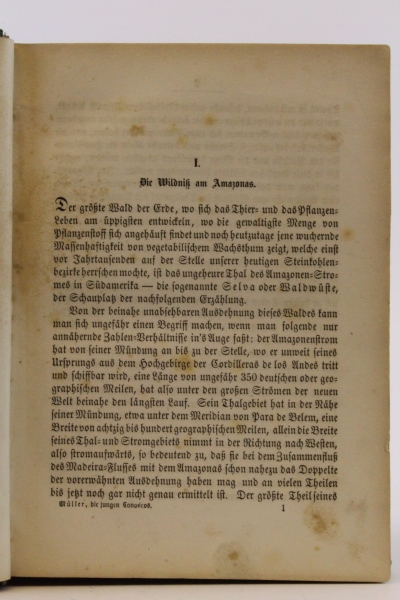 Müller, Karl: Die jungen Canonéros des Amazonen-Stroms Ein Nautrgemälde aus dem tropischen Südamerika zu Lust und Lehre für die reifere Jugend gebildeter Stände