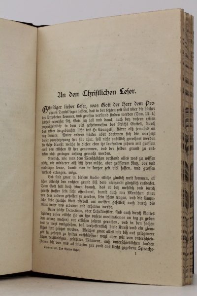 Lion (Hrsg.), Prof. Dr. C. Th.: Joh. Amos Comenius' Informato-Rium. Der Mutter Schul. das ist, Ein richtiger und augenscheinlicher bericht, wie frome Eltern, theils selbst, theils durch Ihre Ammen, Kinderwärterin, unndt andere mitgehülffen, ihr allerthewr