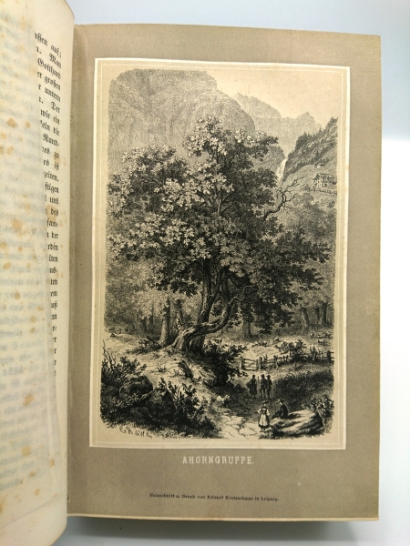 Tschudi, Friedrich von: Das Thierleben der Alpenwelt. Naturansichten und Thierzeichnungen aus dem schweizerischen Gebirge