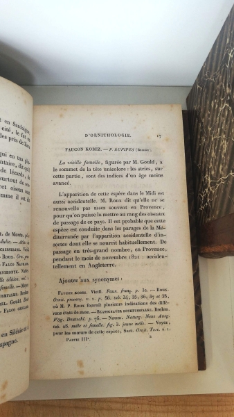 Temminck, J. - C.: Manuel d' ornitologie ou tableau systématique des oiseaux qui se trouvent en europe