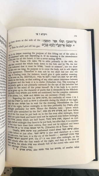 Raphael Hirsch, Isaac Levy: The Pentateuch. 7 Bände Translated and explained by Samson Raphael Hirsch. Rendered into English by Isaac Levy.