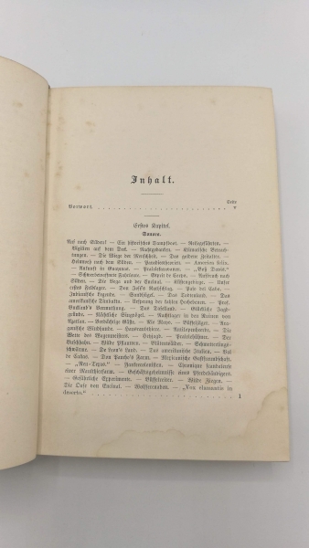 Oswald, Felix L.: Streifzüge in den Urwäldern von Mexico und Central-Amerika