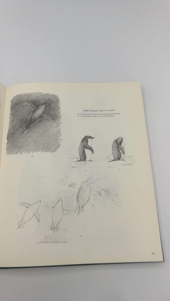 Wilson, Edward: Birds of the Antarctic edited by Brian Roberts